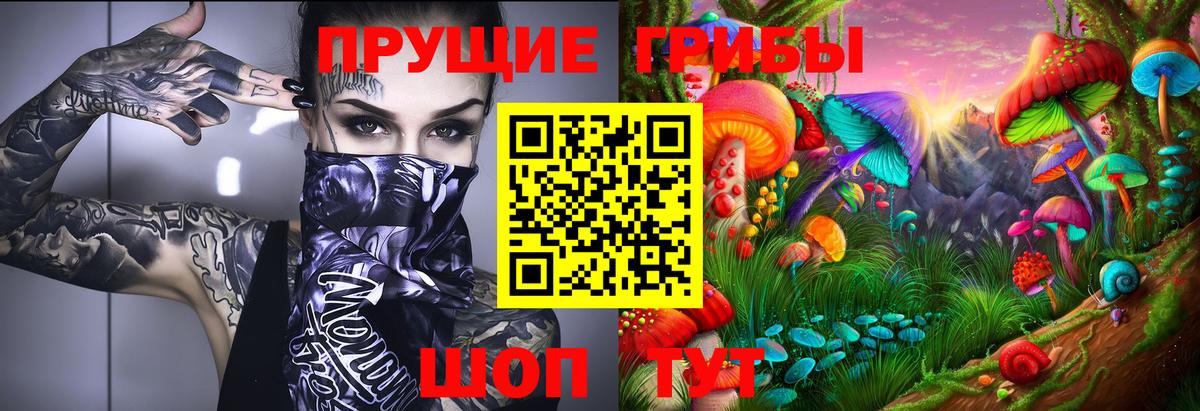 Великие Луки  Галлюциногенные грибы ЛСД  Вход с VPN 